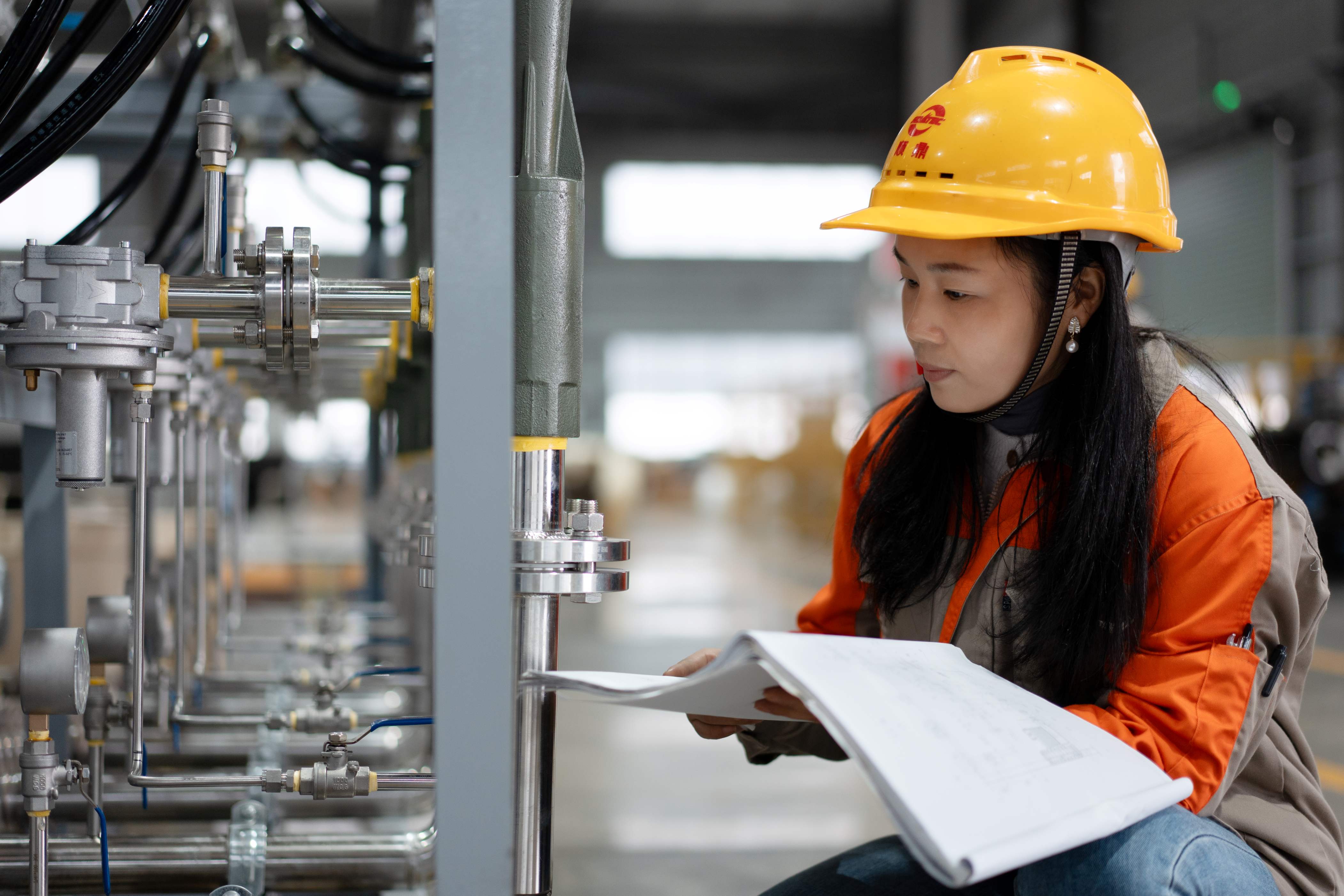 Commissioning & Startup